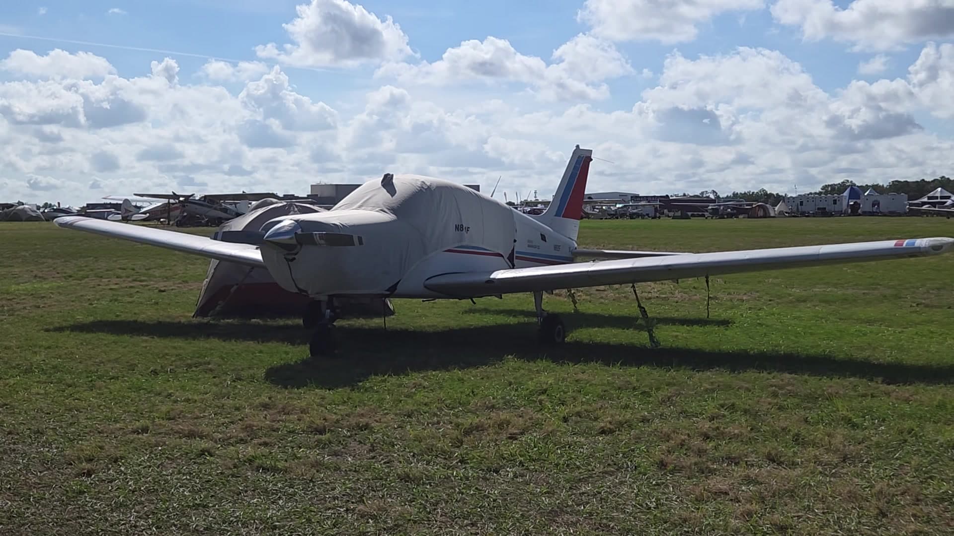 N81F - Piper J3C-65