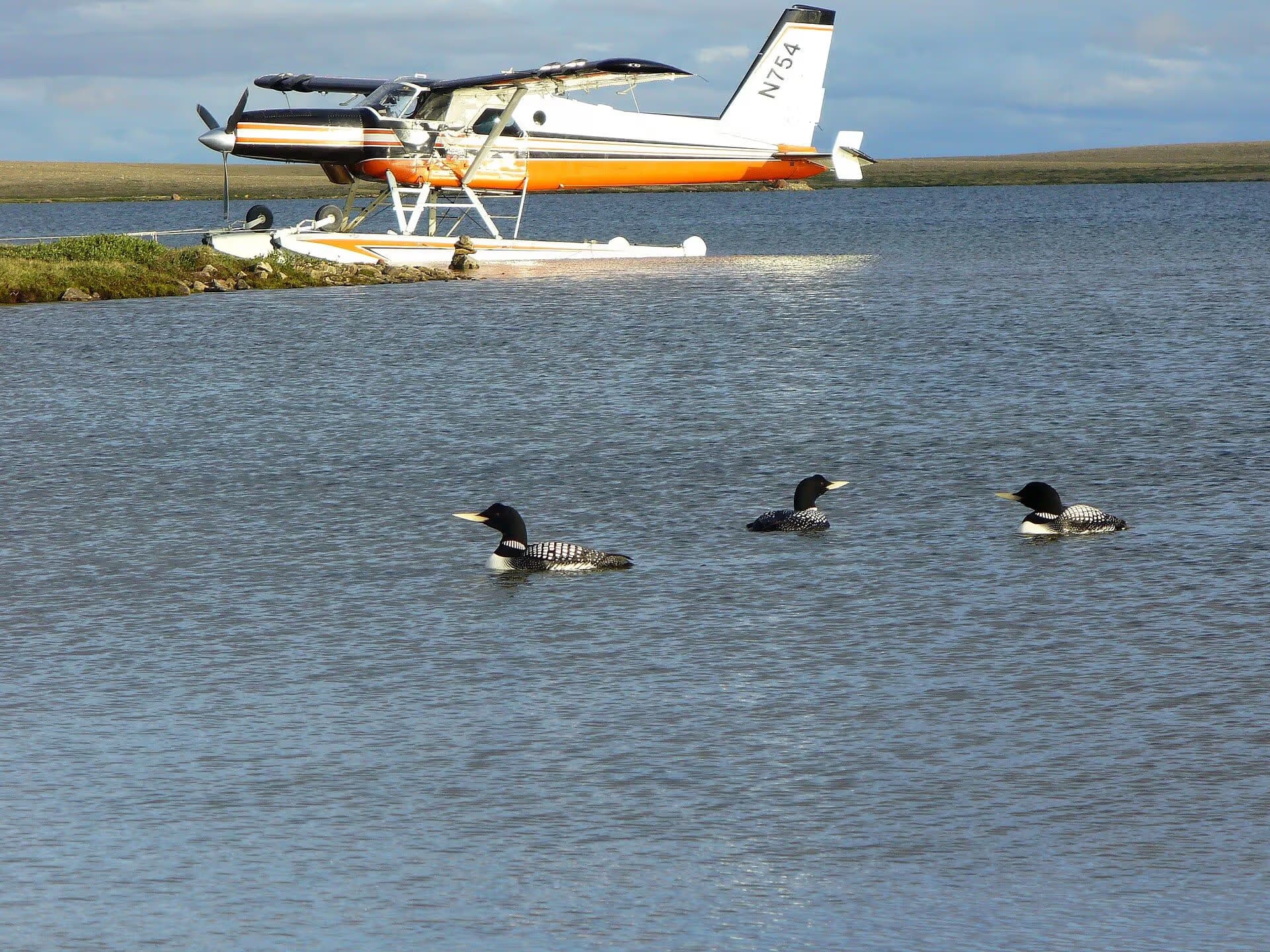 N754 — Floatplane