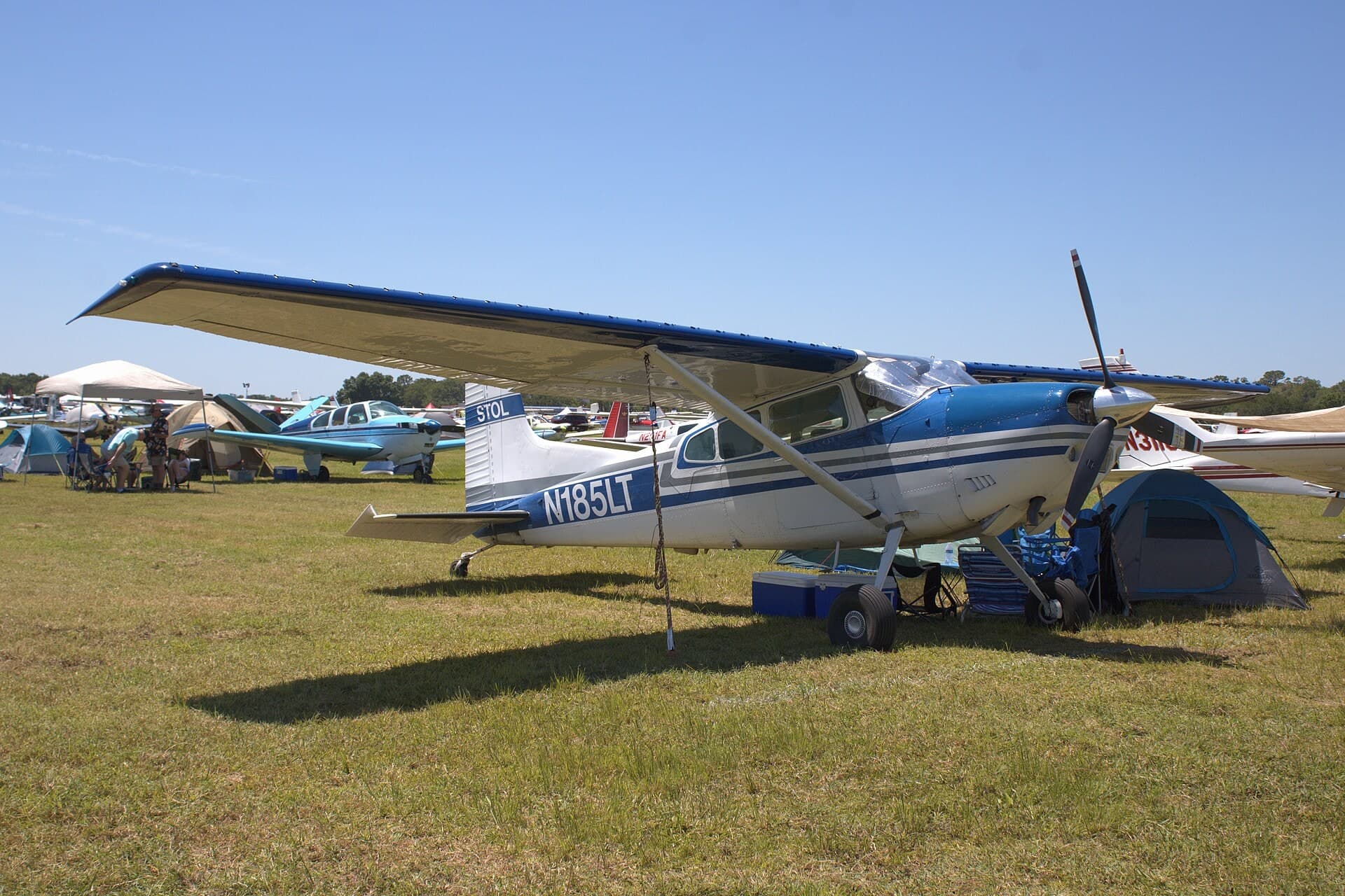 N185LT — Single-engine aircraft