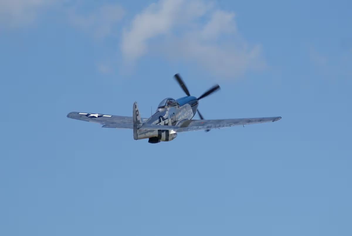 Unidentified — Warbird