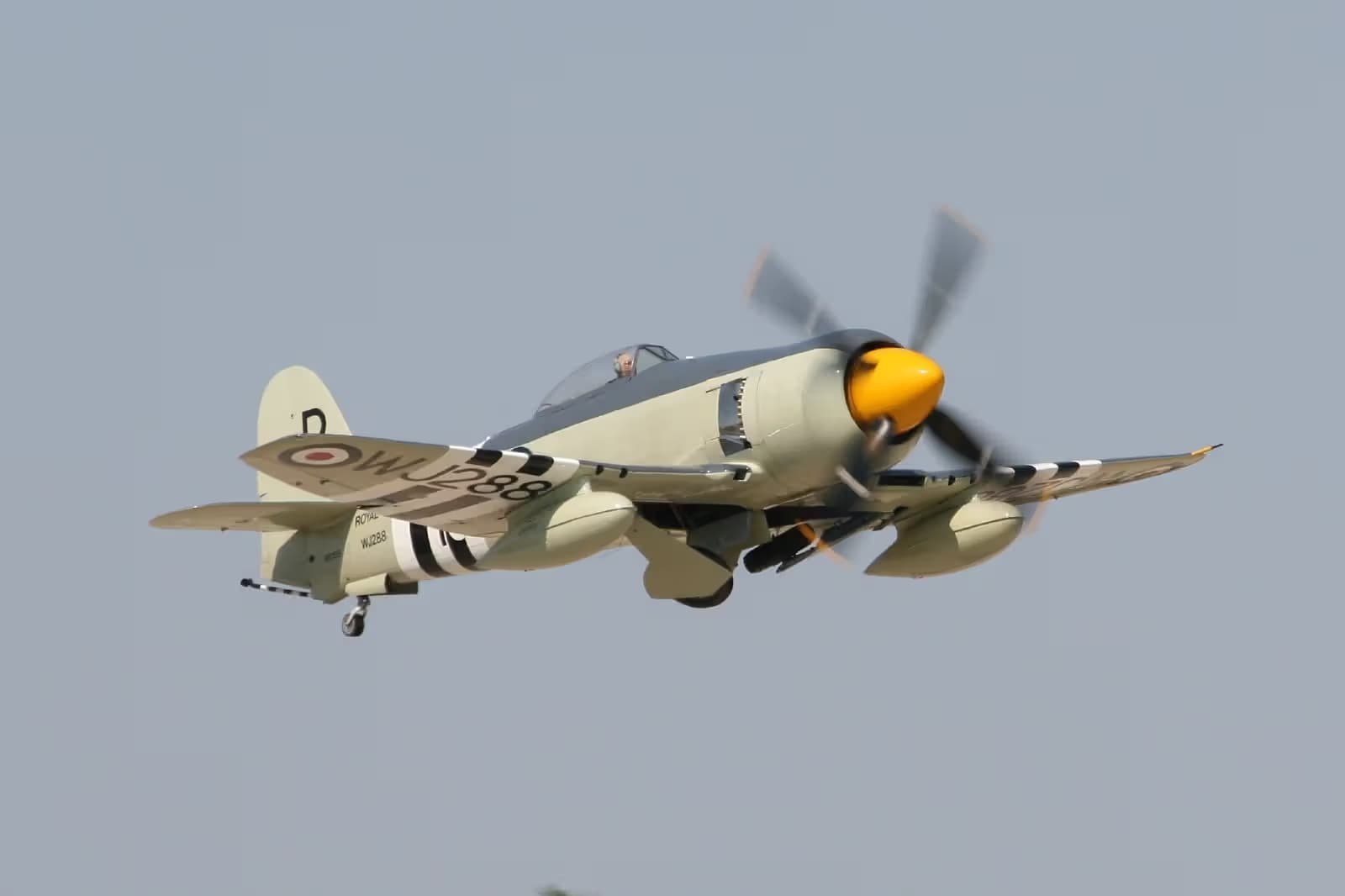 Unidentified — Warbird