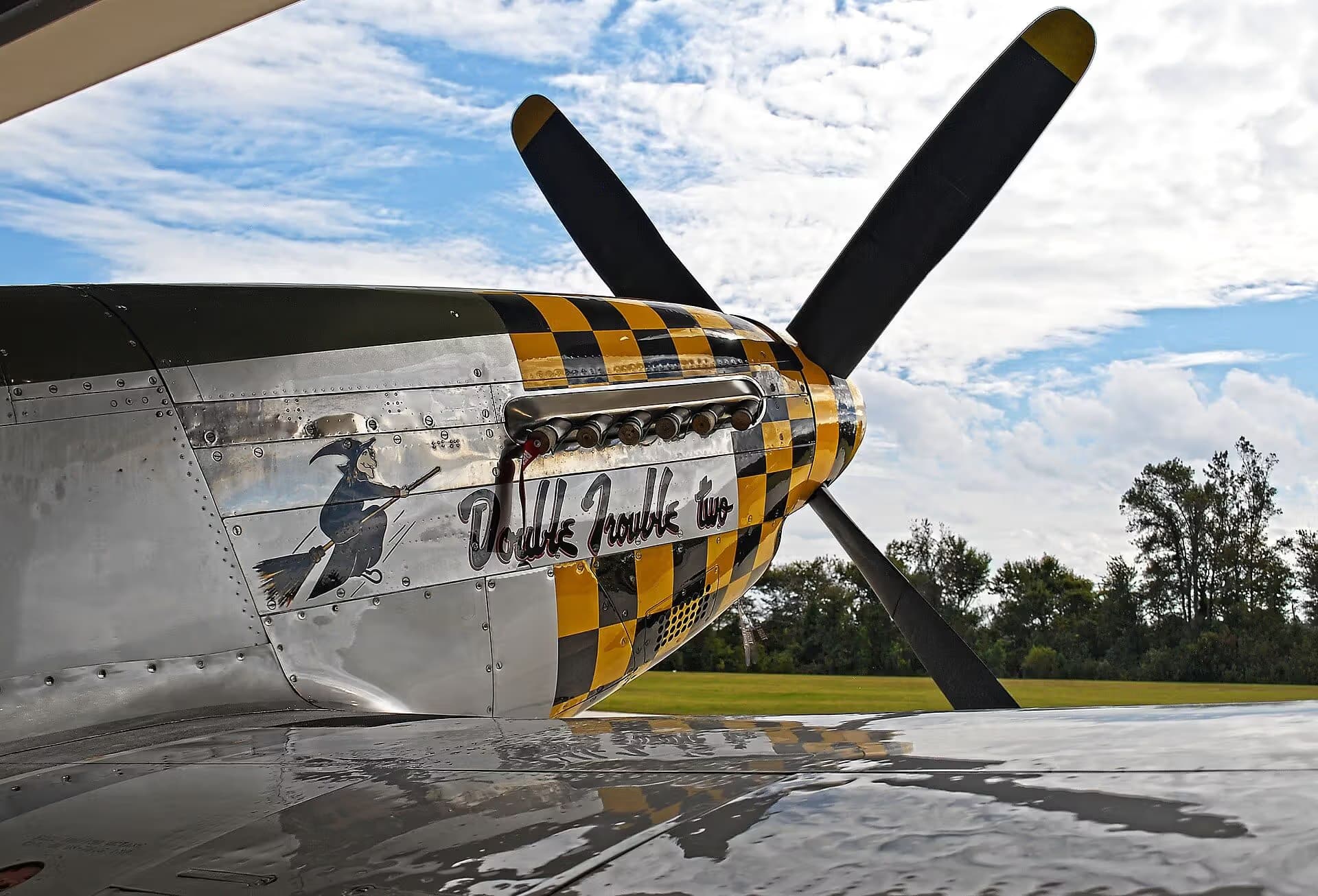 Unidentified — Warbird