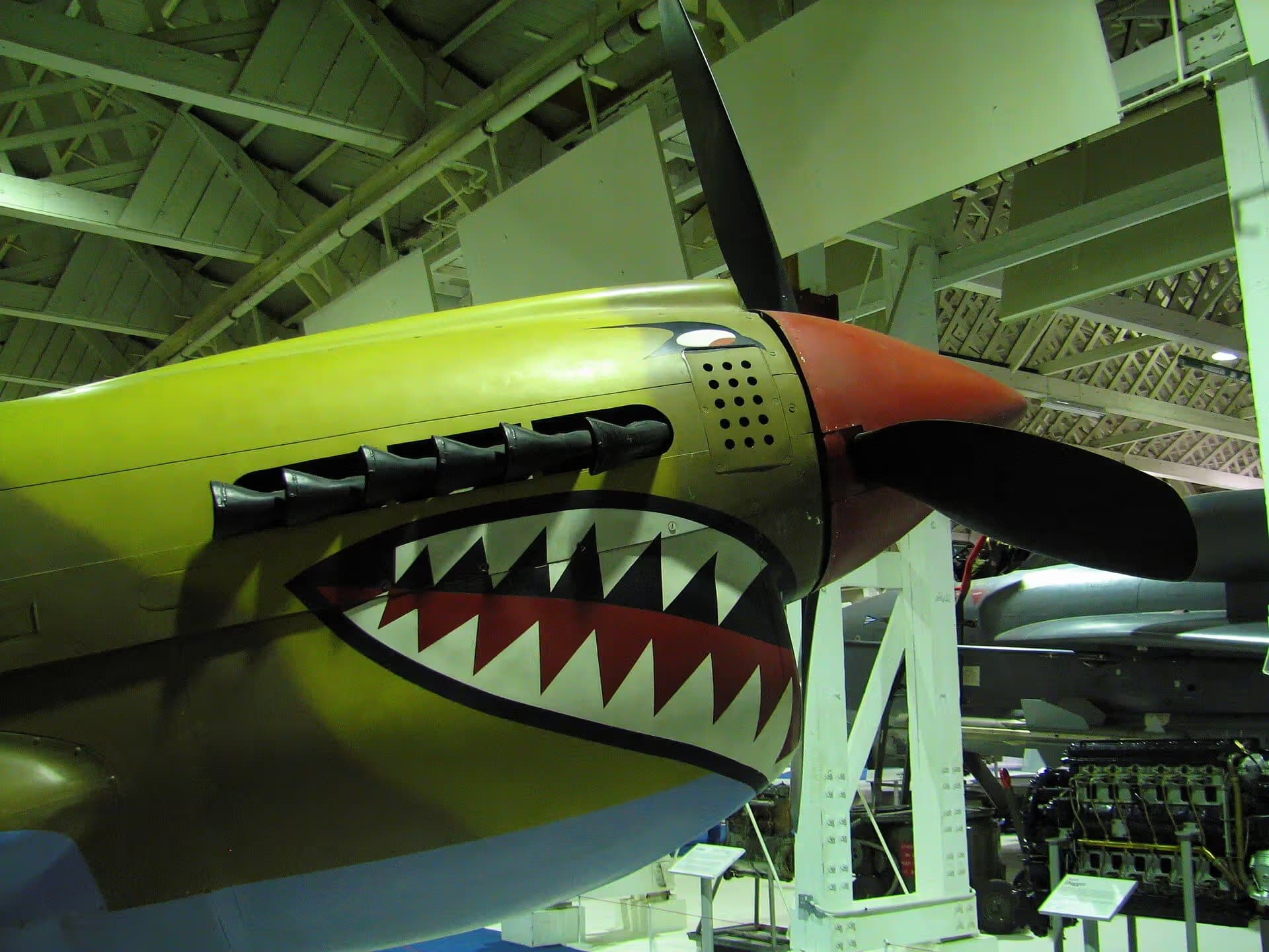 Unidentified — Warbird