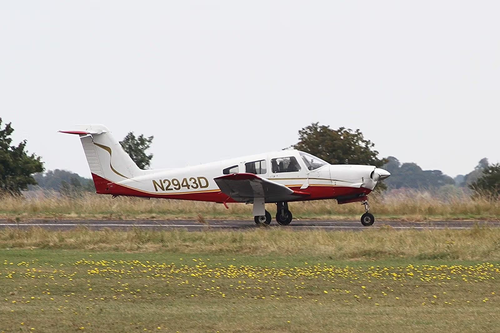 N2943D — Piper