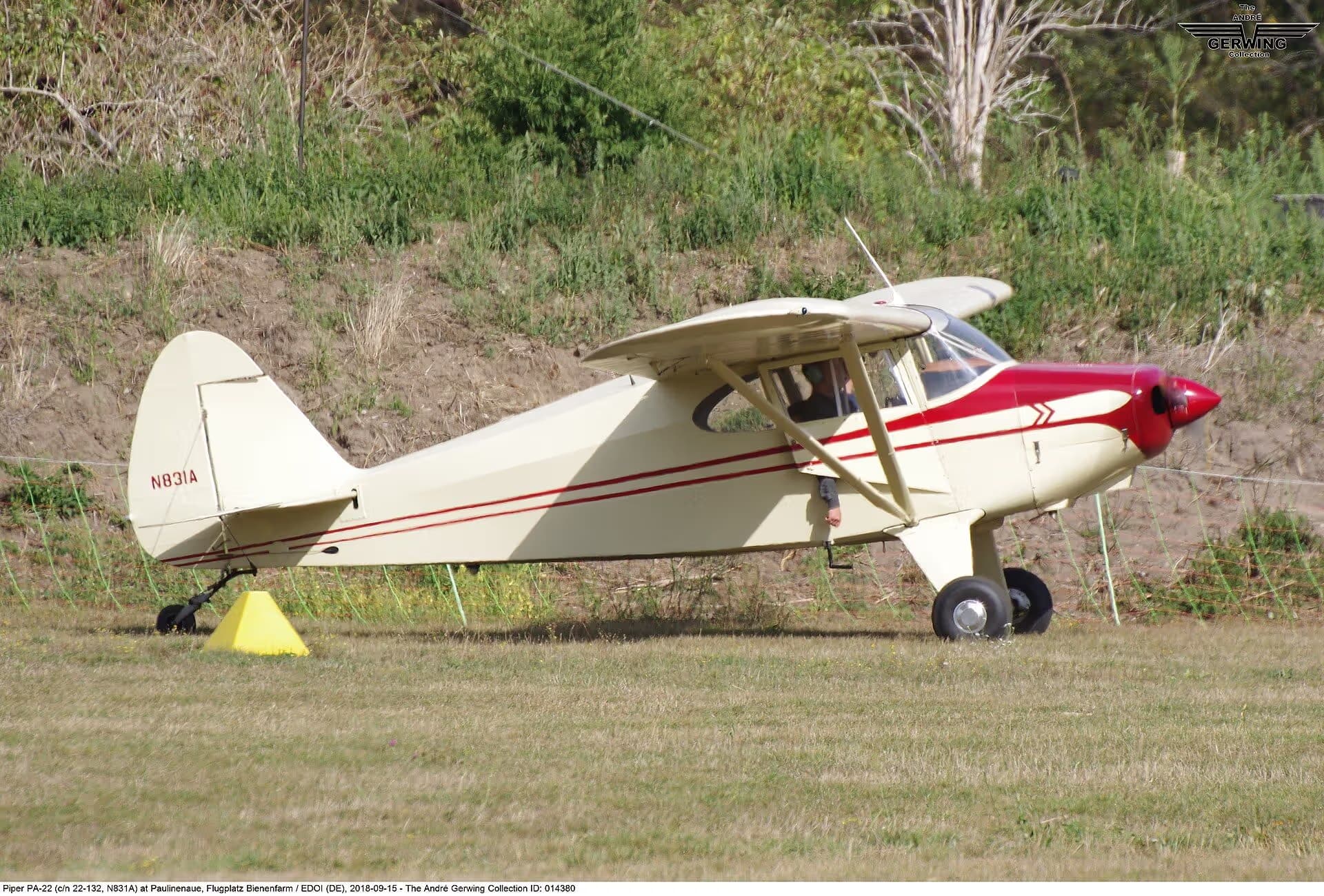 N831A — Piper