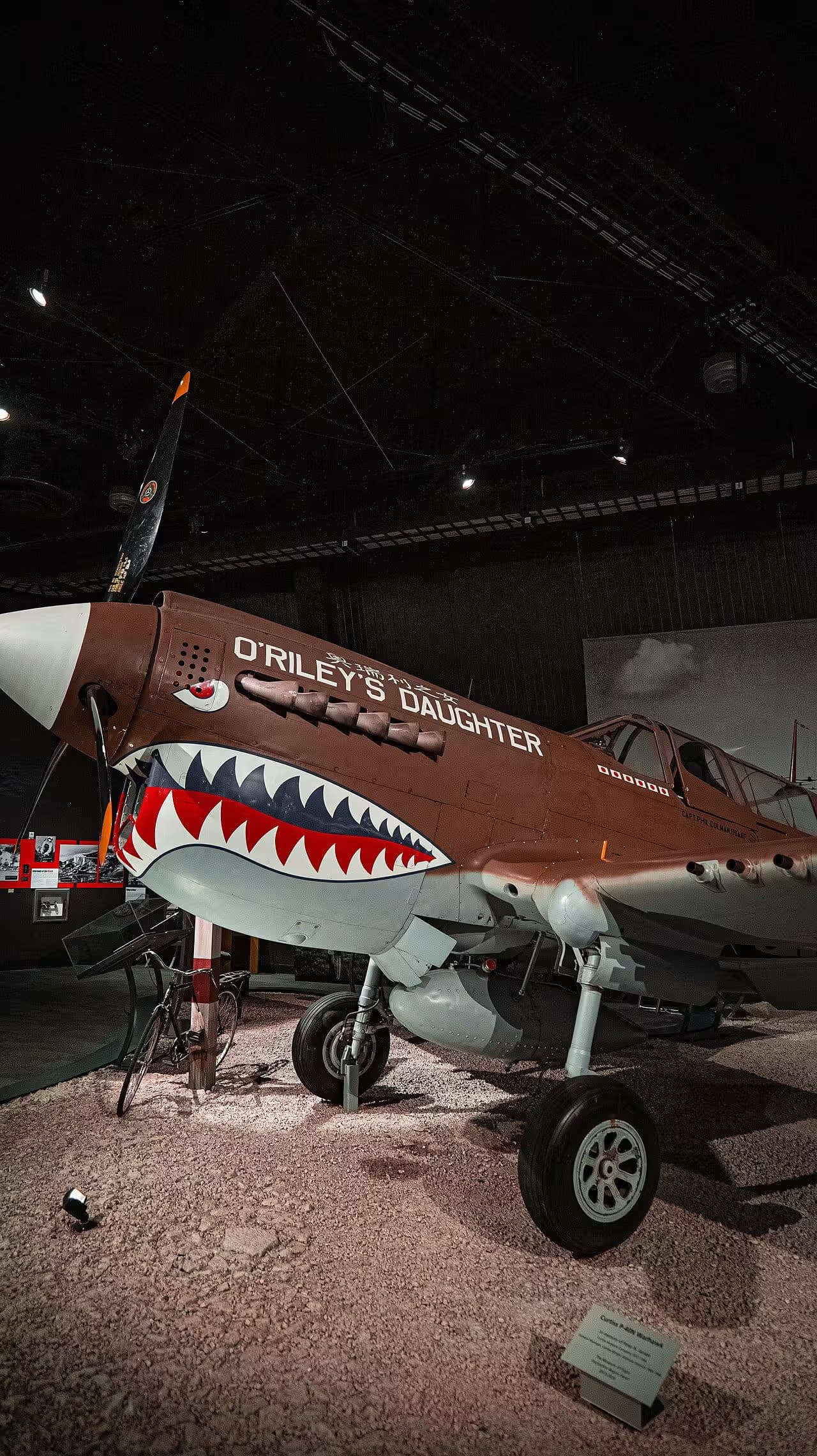 Unidentified — Warbird