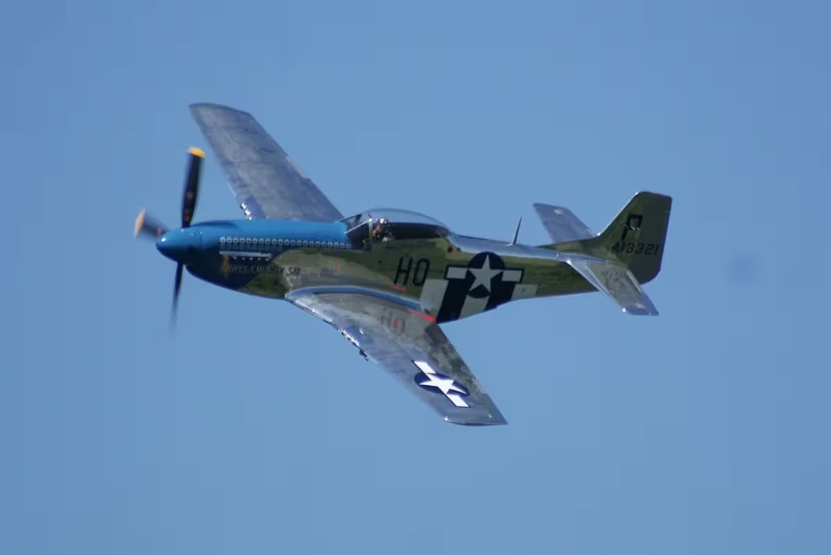 Unidentified — Warbird