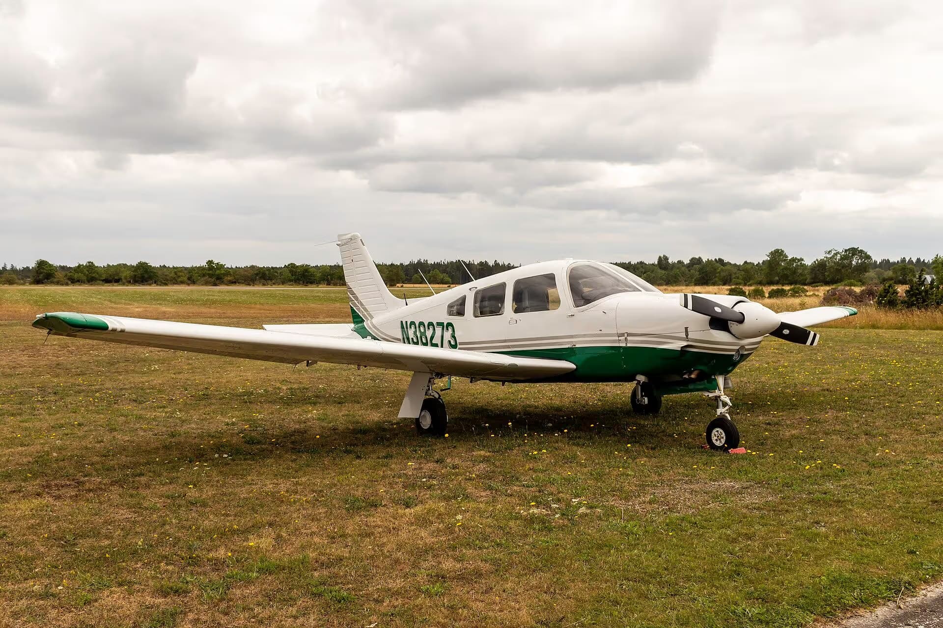 N38273 — Single-engine aircraft
