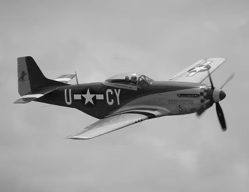 N5428V — Warbird
