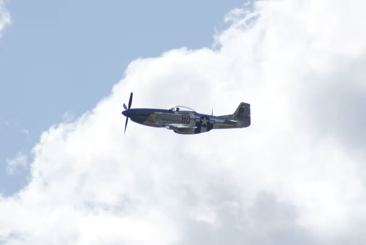 Unidentified — Warbird