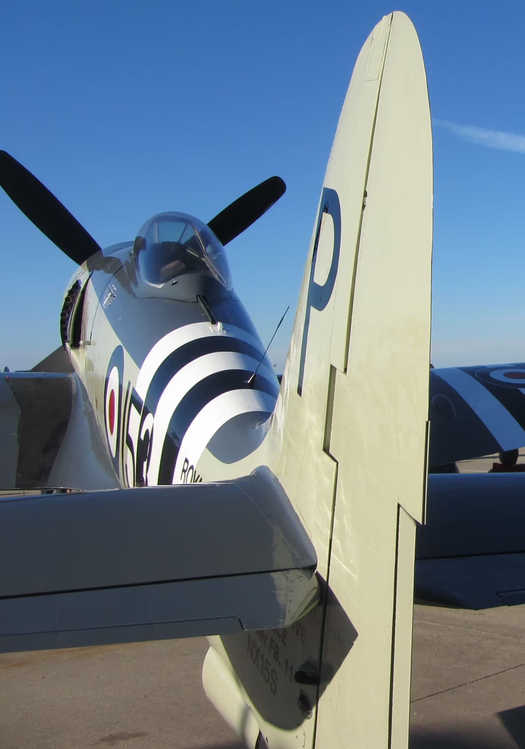 Unidentified — Warbird
