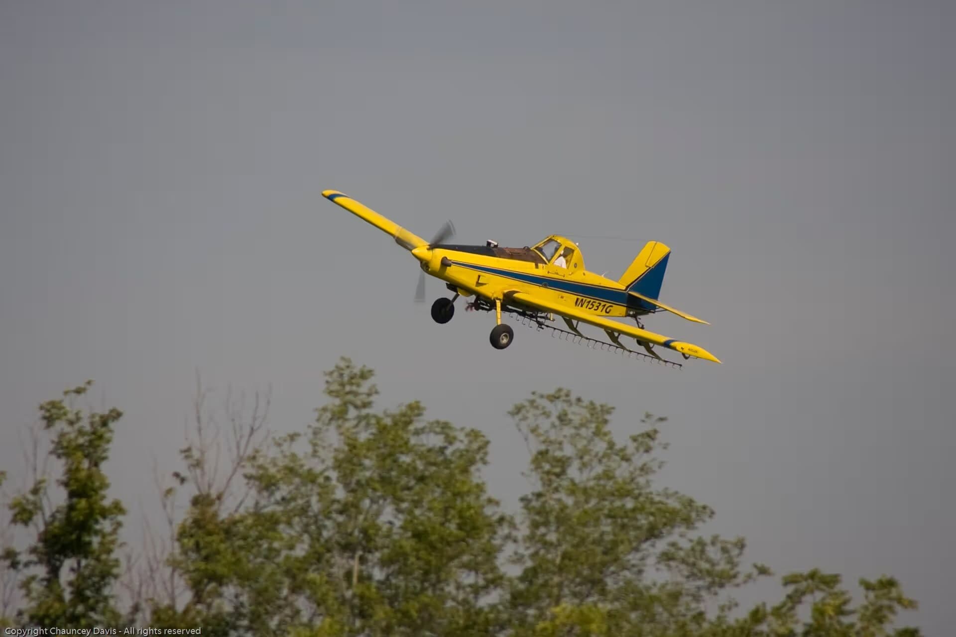 N1531G — Single-engine aircraft