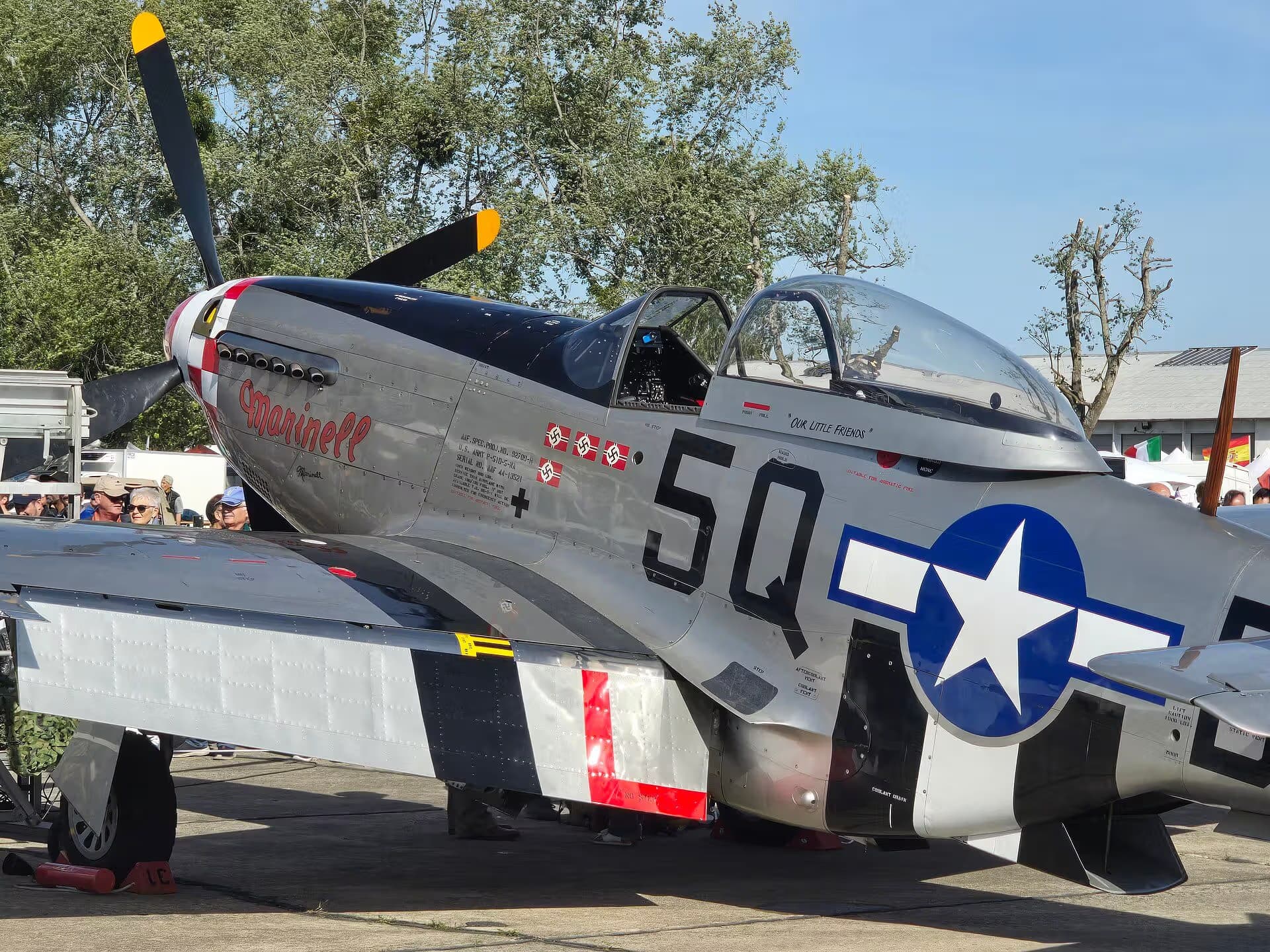 Unidentified — Warbird