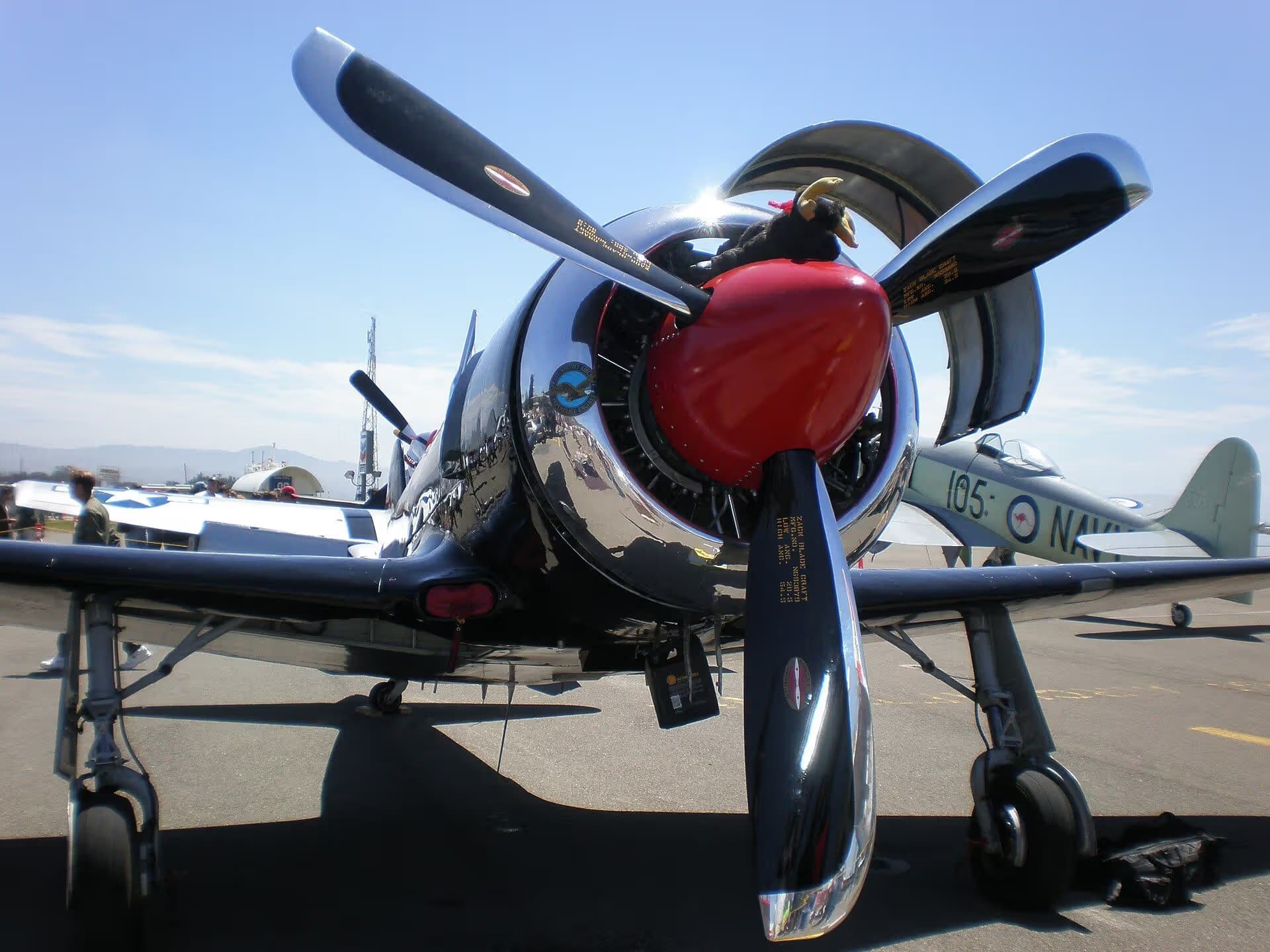 N2124X — Warbird