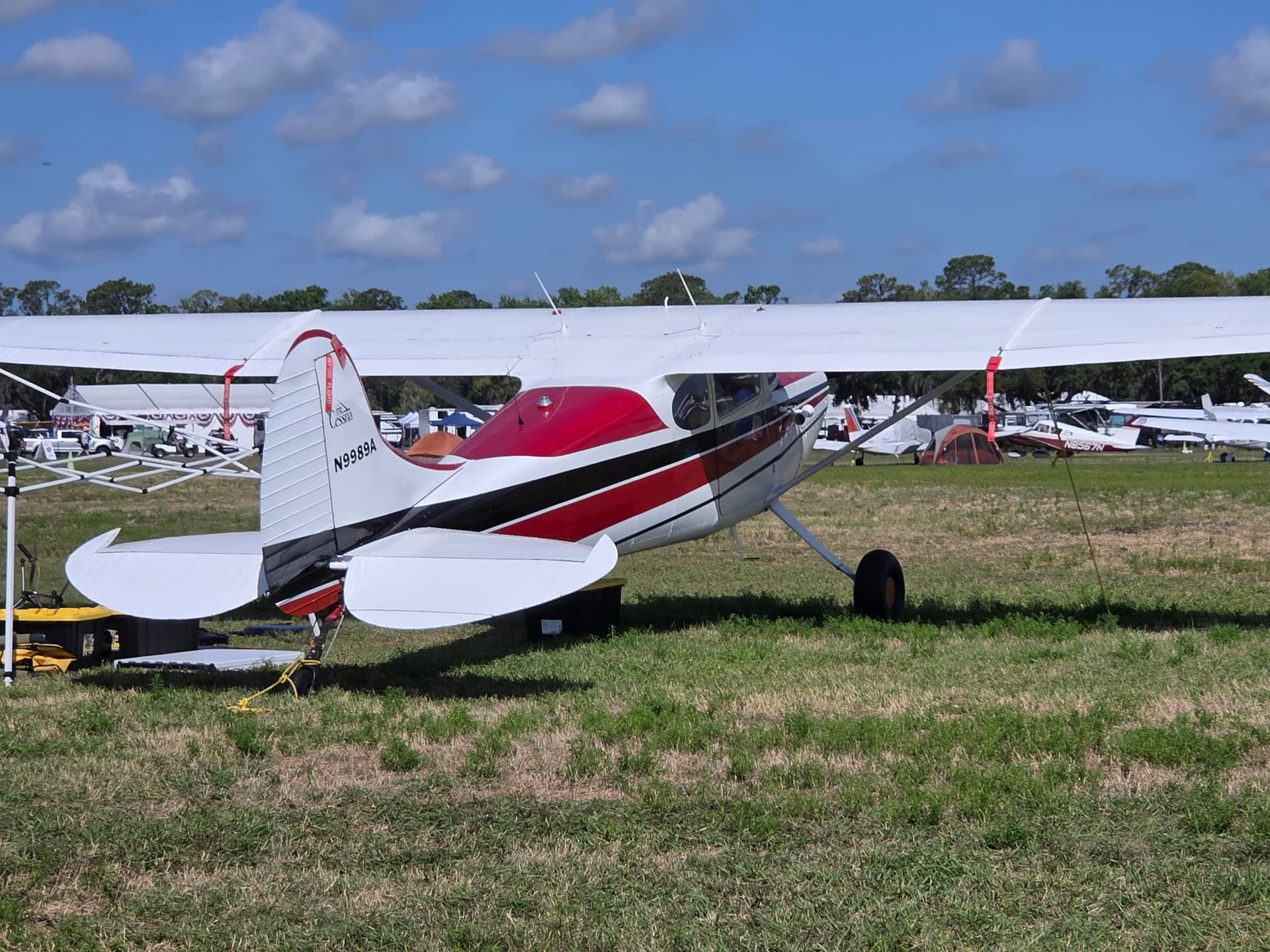N9989A — Cessna 170A at Lakeland Linder Intl
