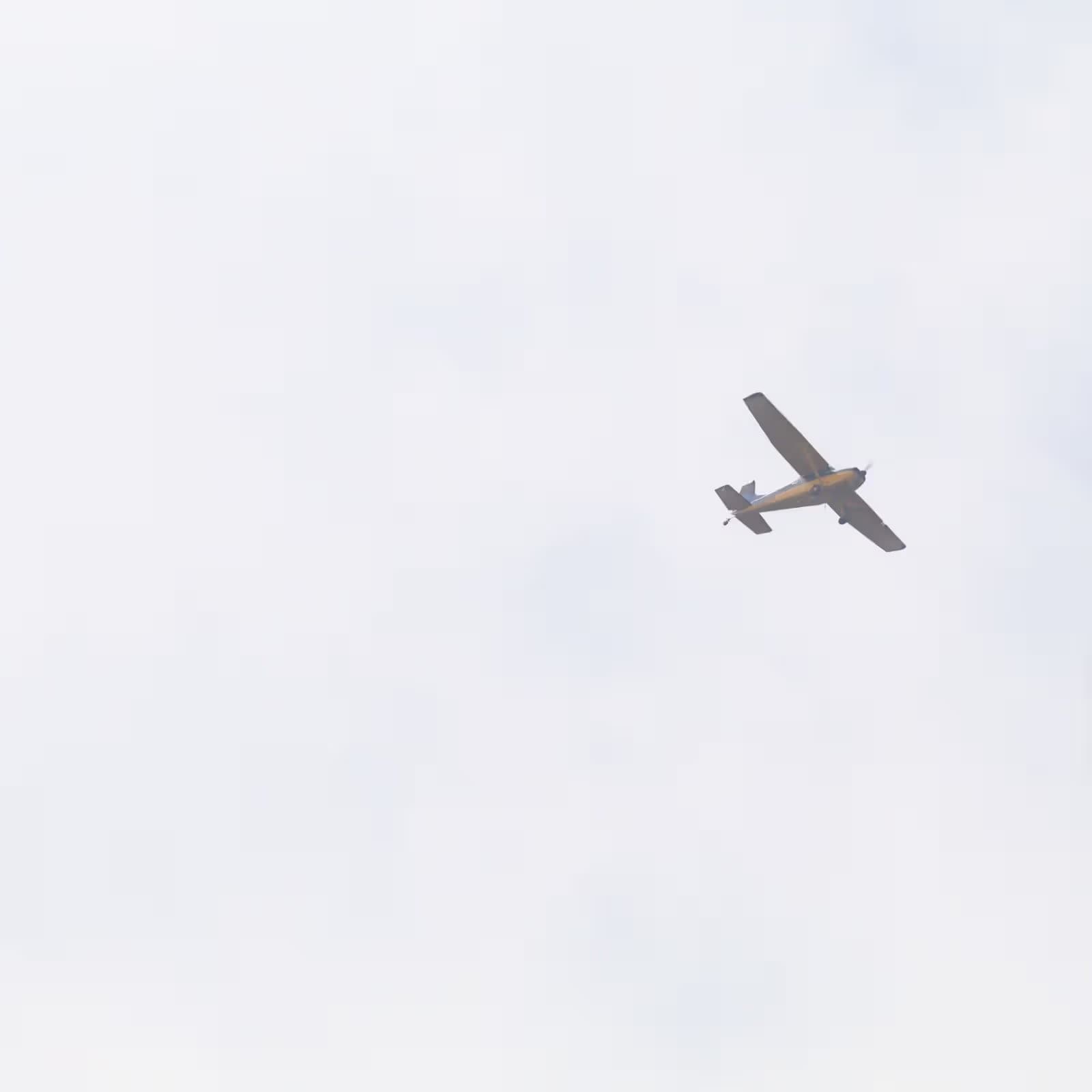 N185ZA — Single-engine aircraft