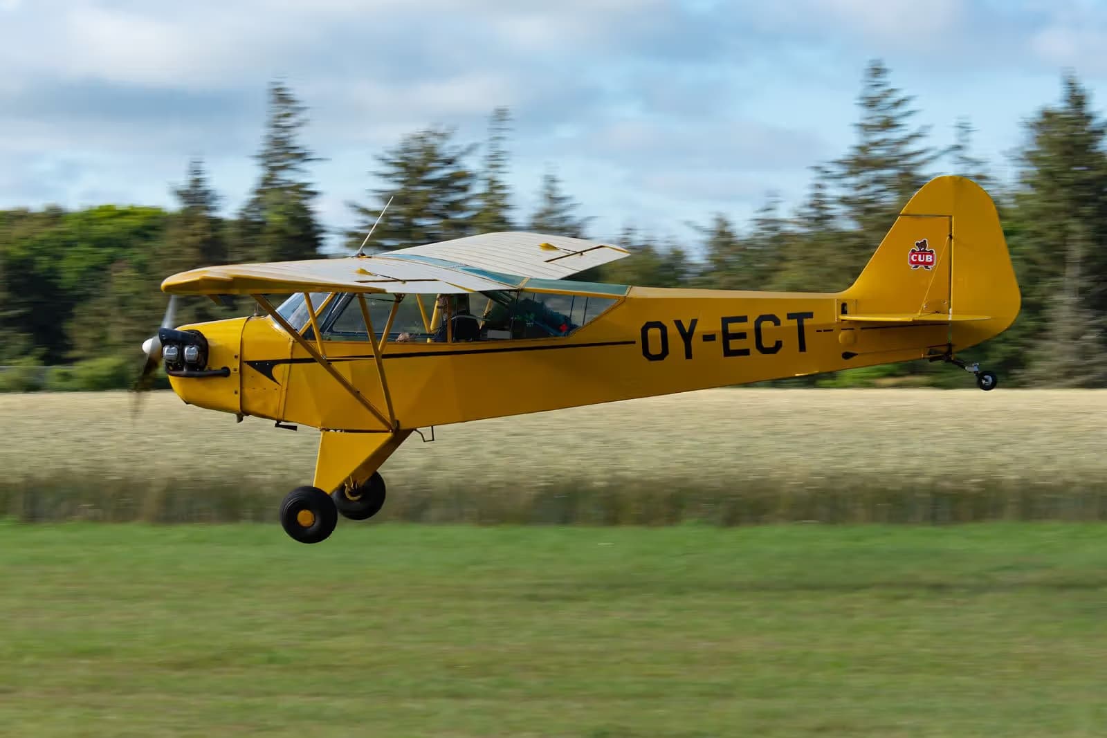 OY-ECT — Piper