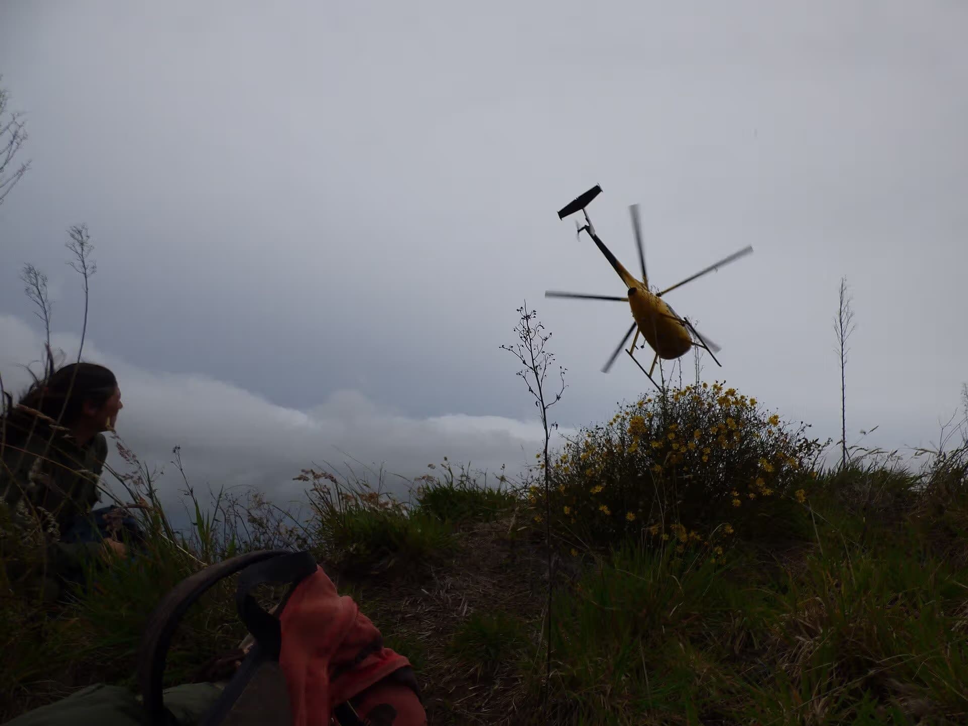 N809WA — Helicopter