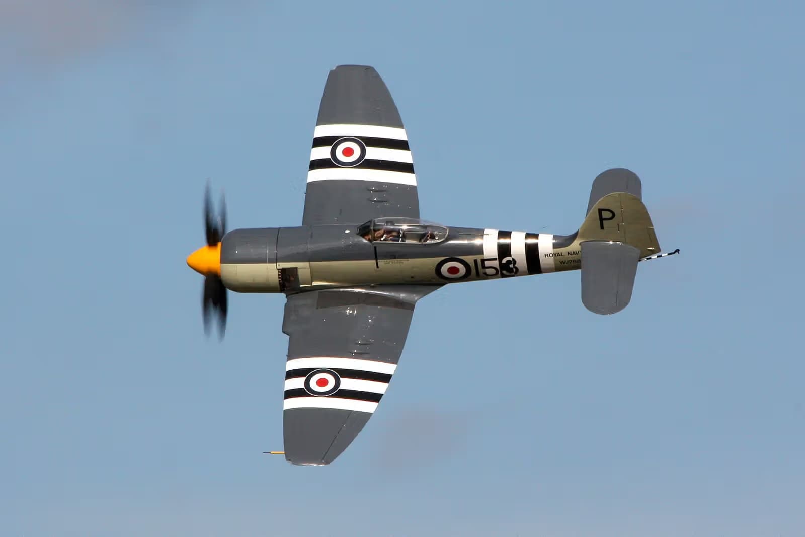 Unidentified — Warbird