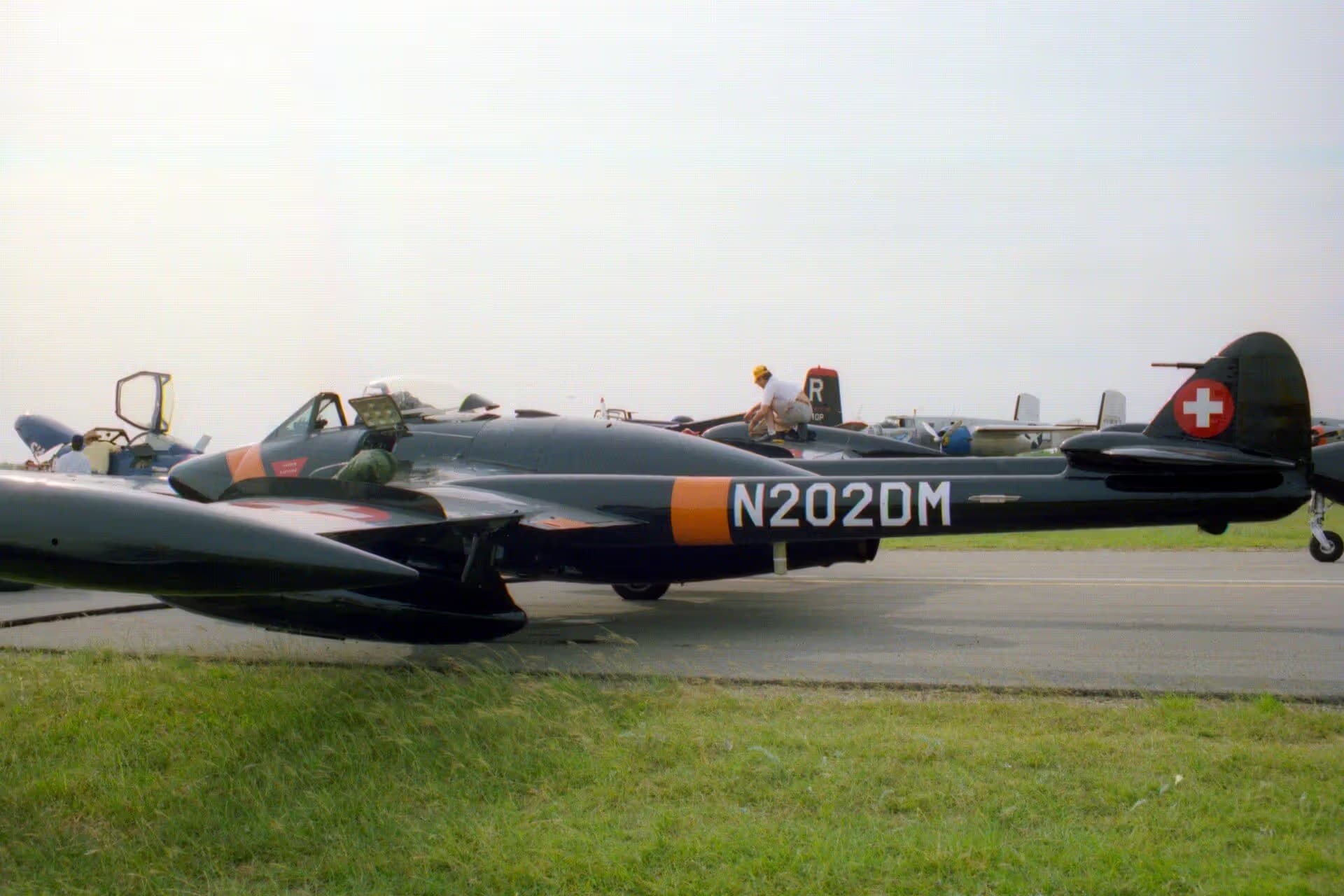 N202DM — De Havilland