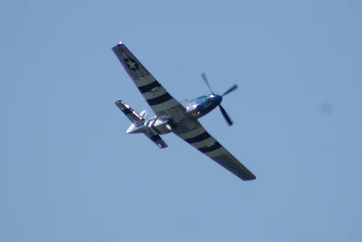 Unidentified — Warbird
