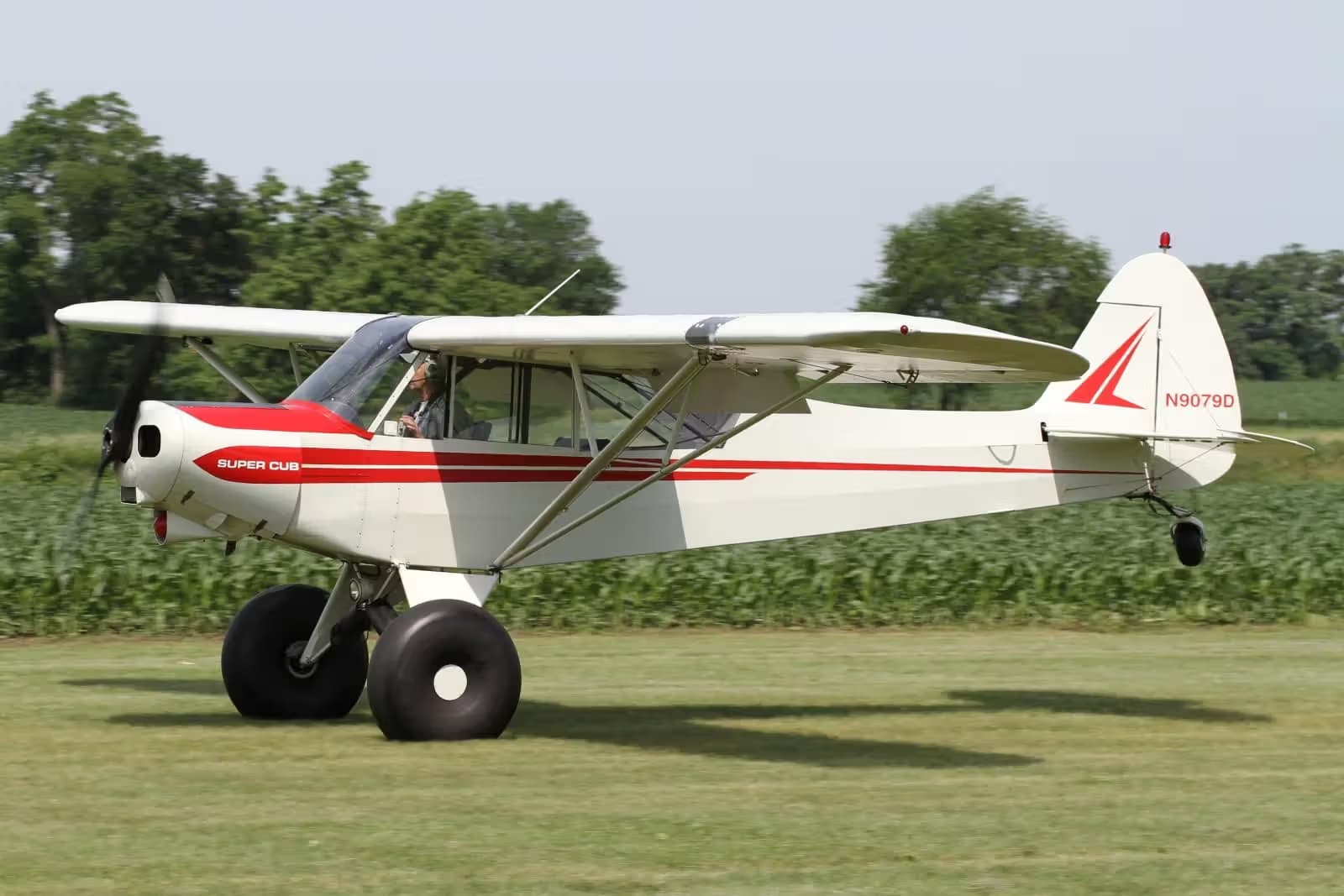 N9079D — Single-engine aircraft