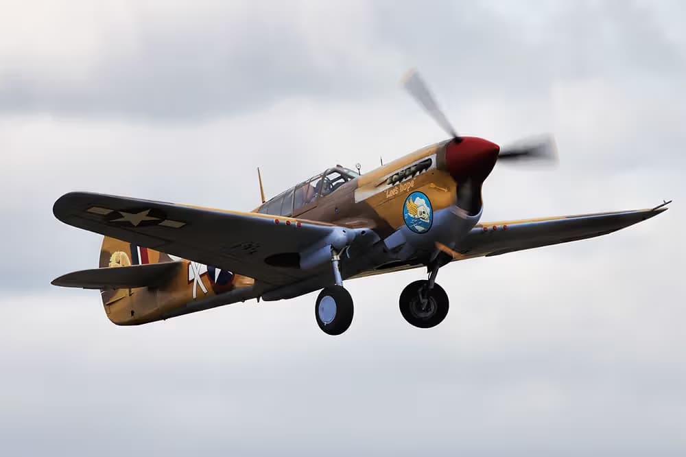 Unidentified — Warbird