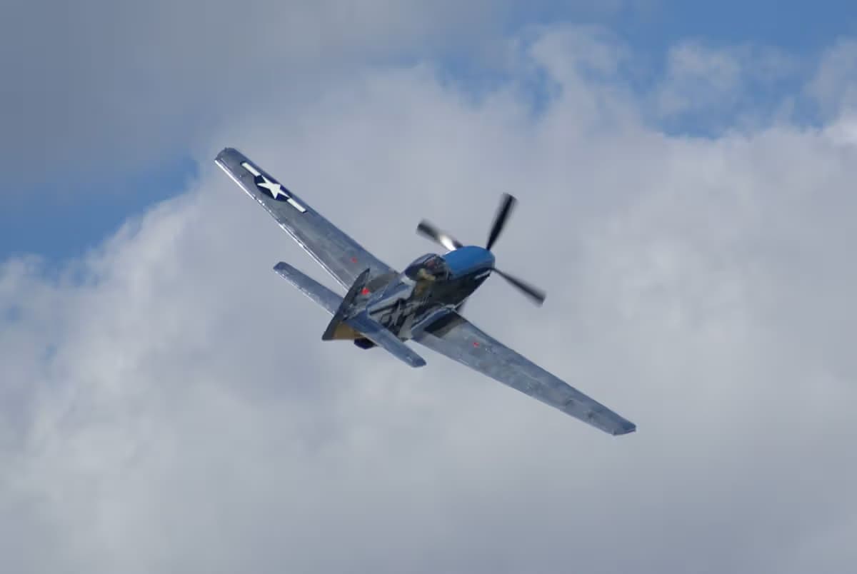 Unidentified — Warbird