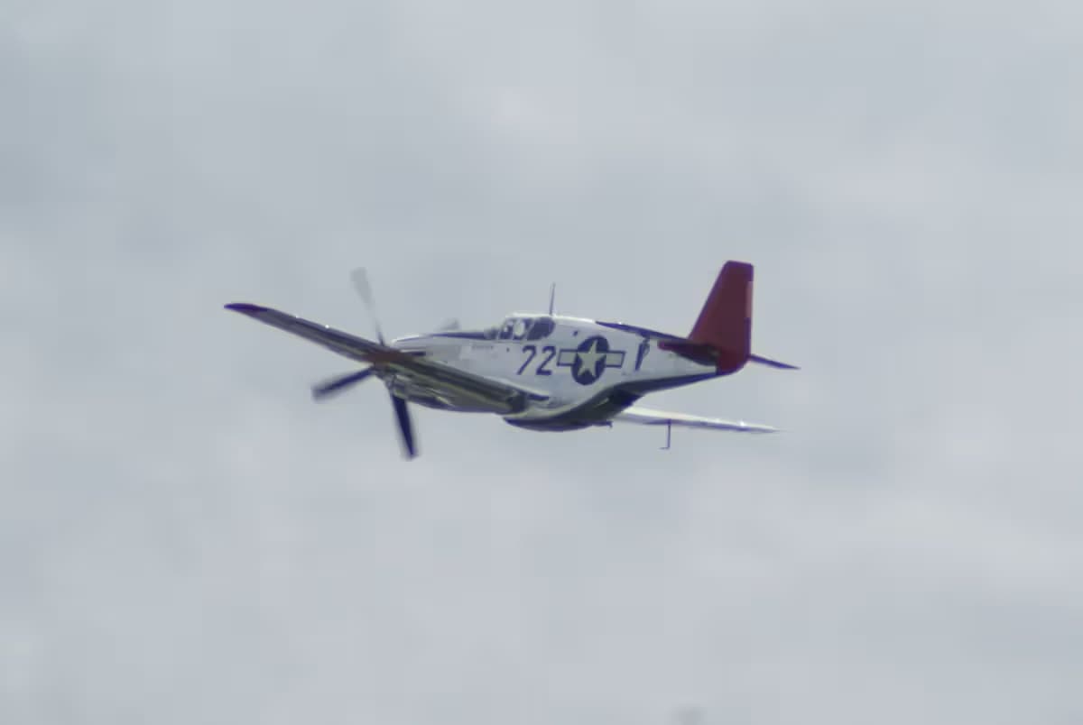 Unidentified — Warbird