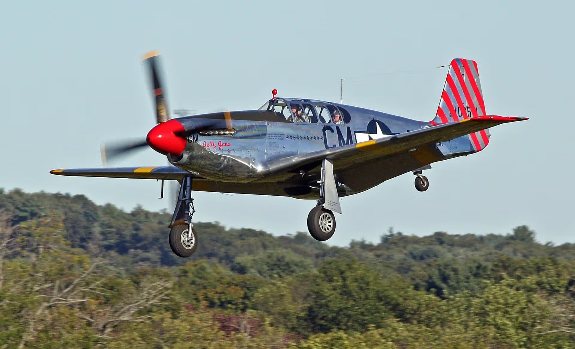 N251MX — Warbird
