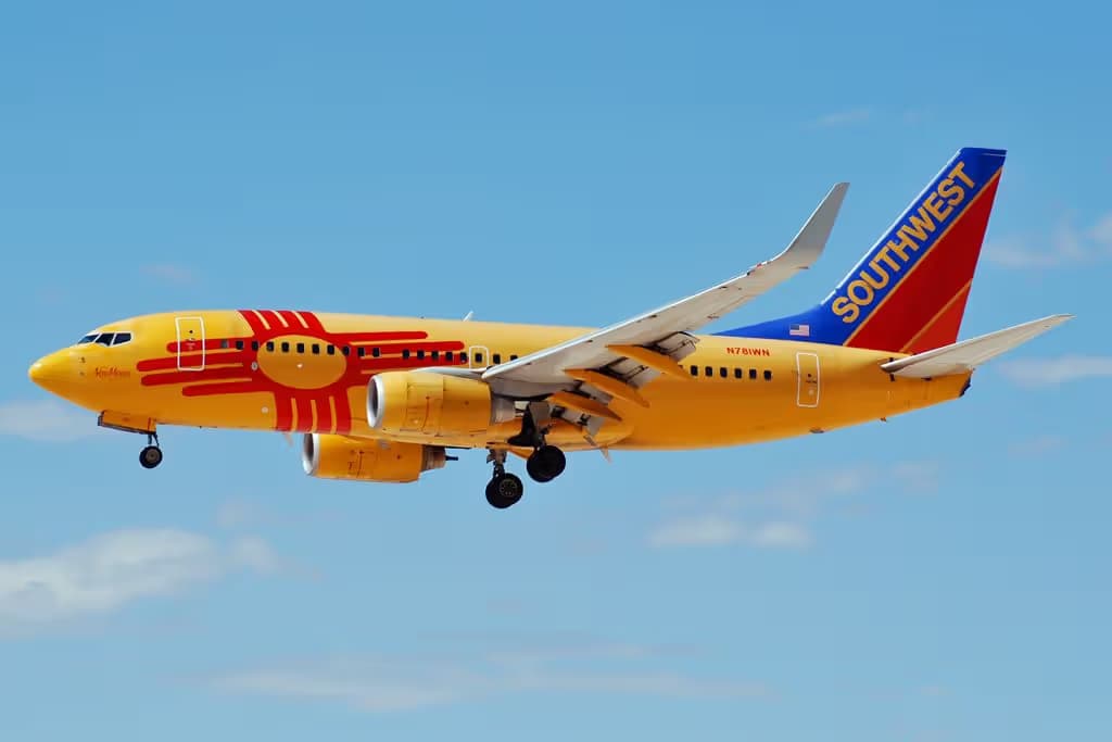 N781WN — Twin-engine aircraft