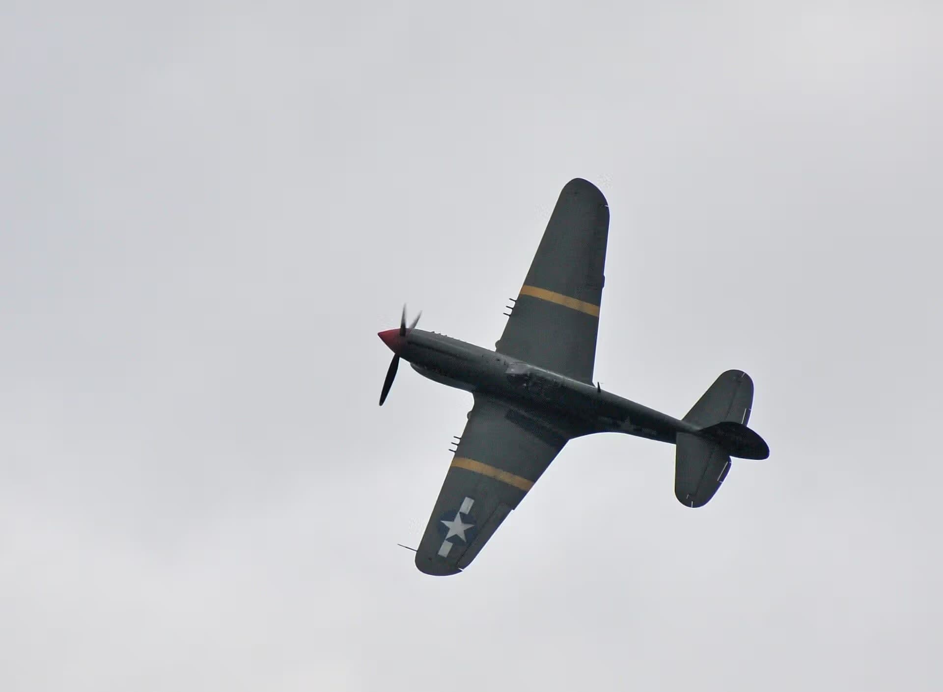 Unidentified — Warbird