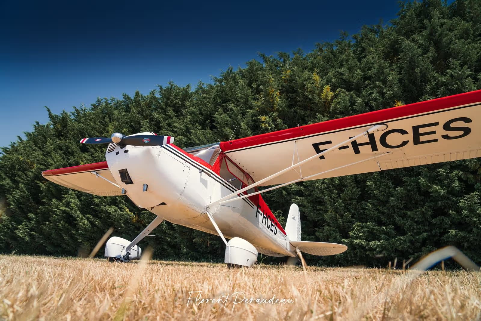 F-HCES — Single-engine aircraft