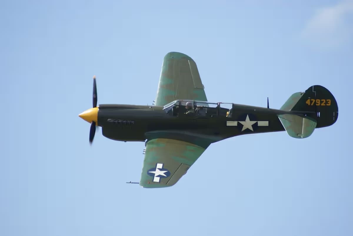 Unidentified — Warbird