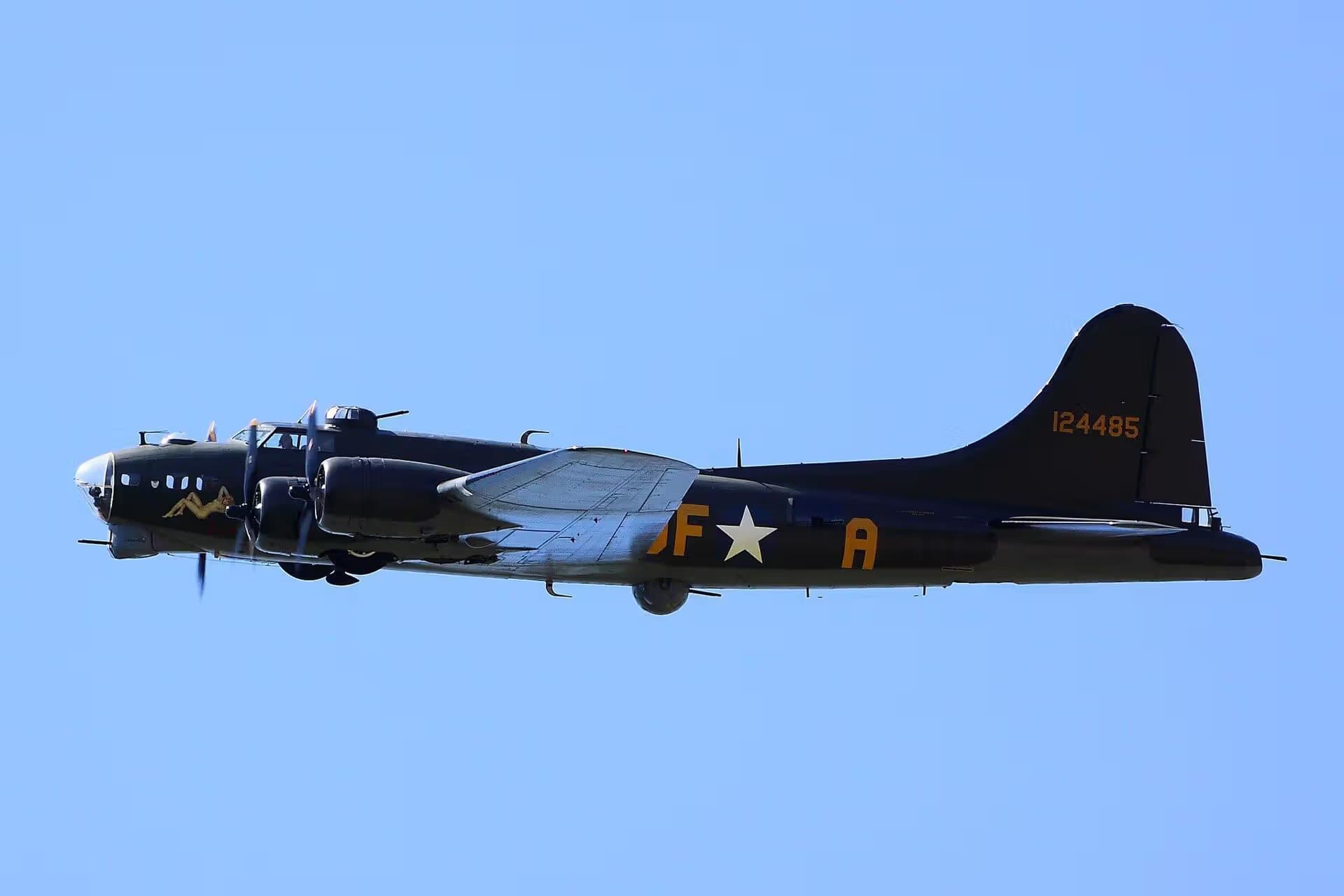Unidentified — Warbird