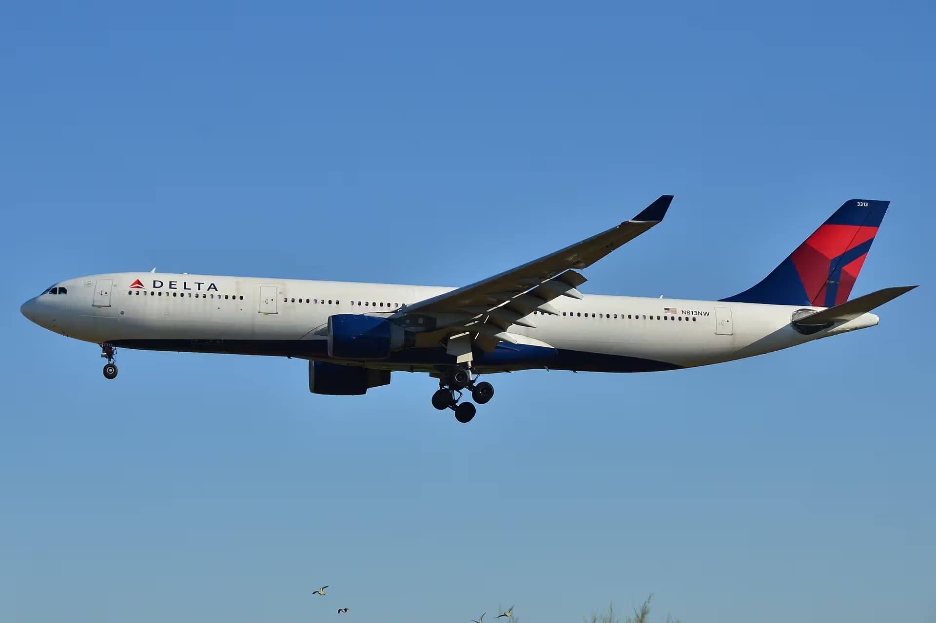 N813NW — Airbus