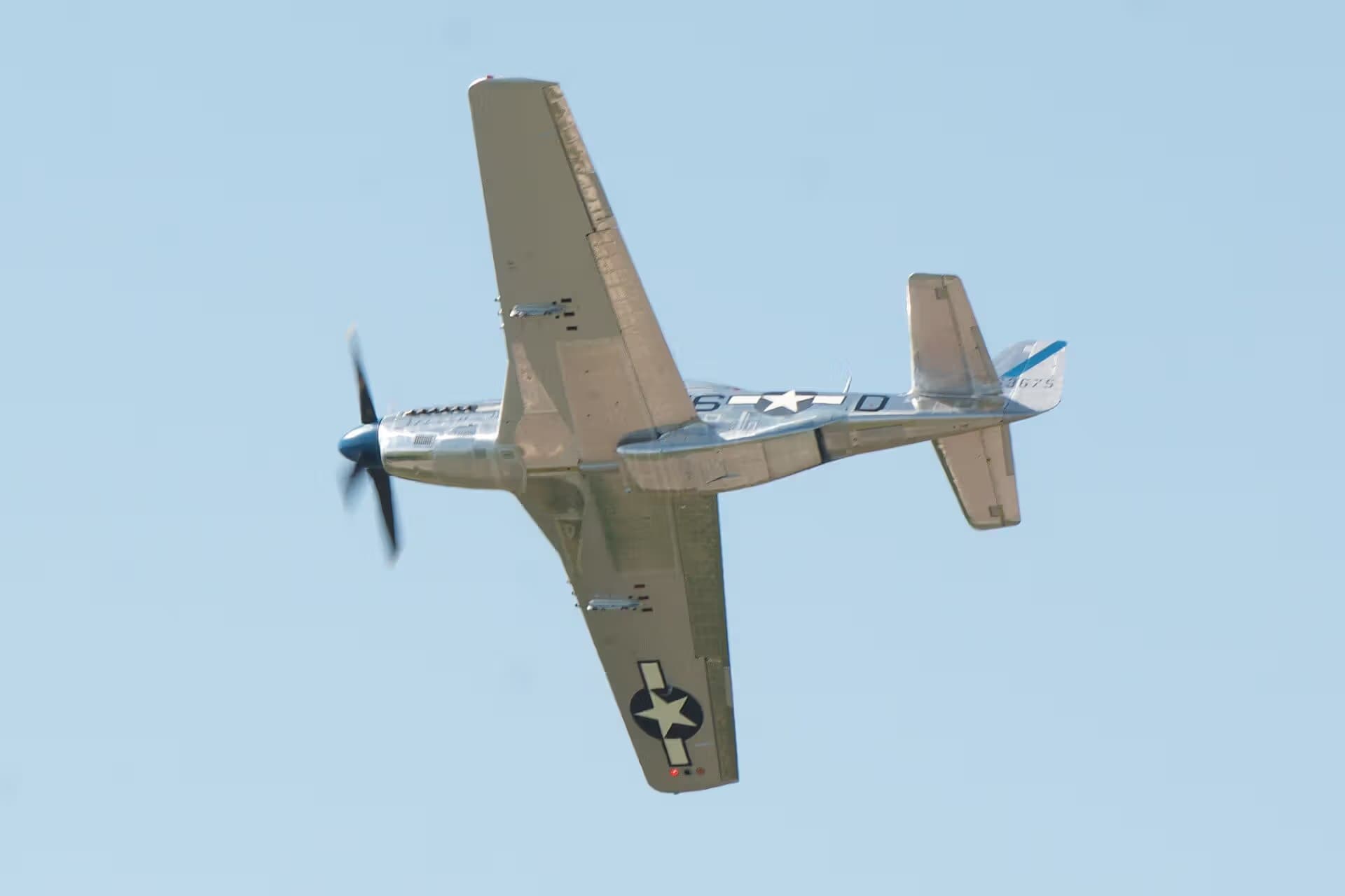 N1751D — Warbird