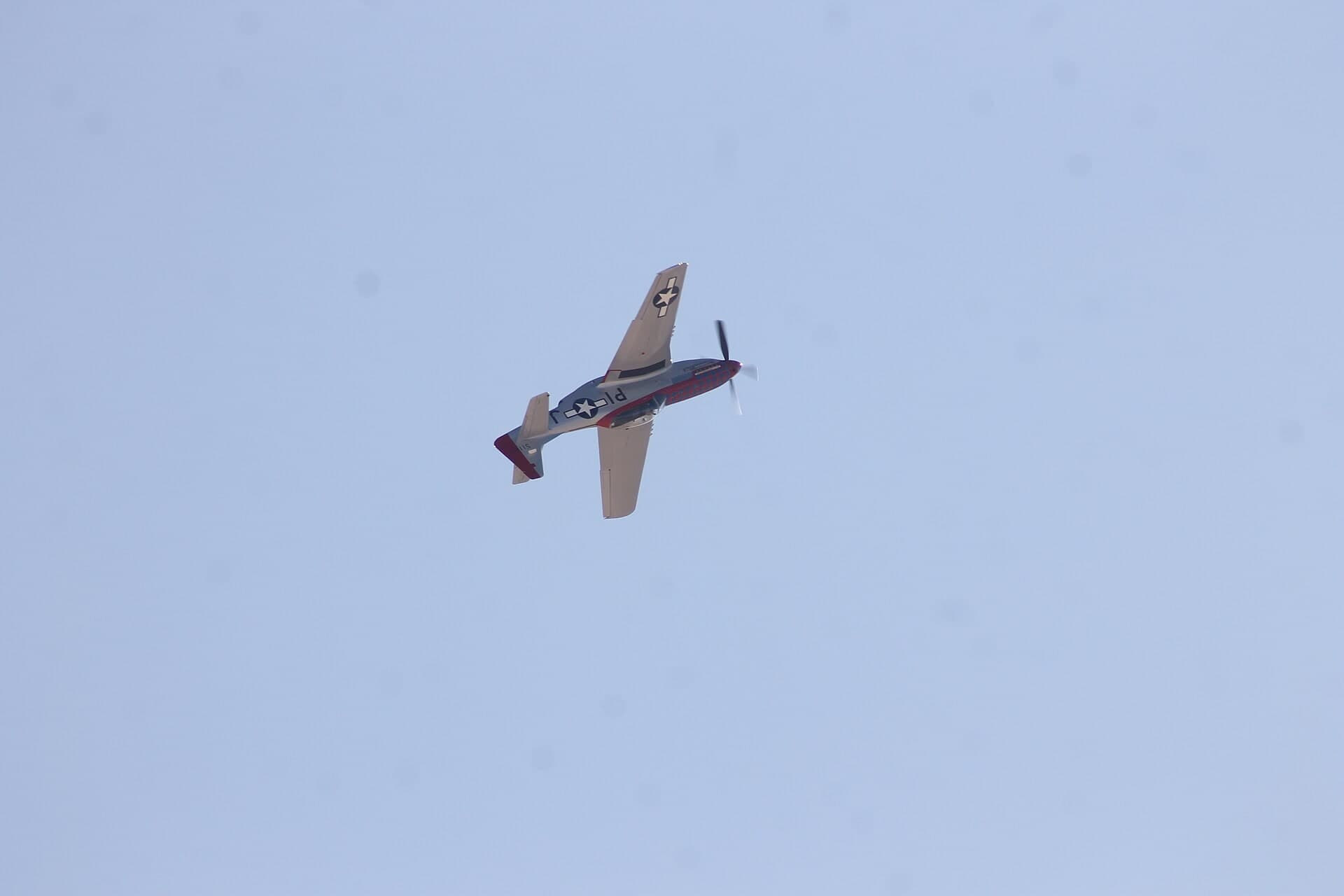 N51ZM — Warbird