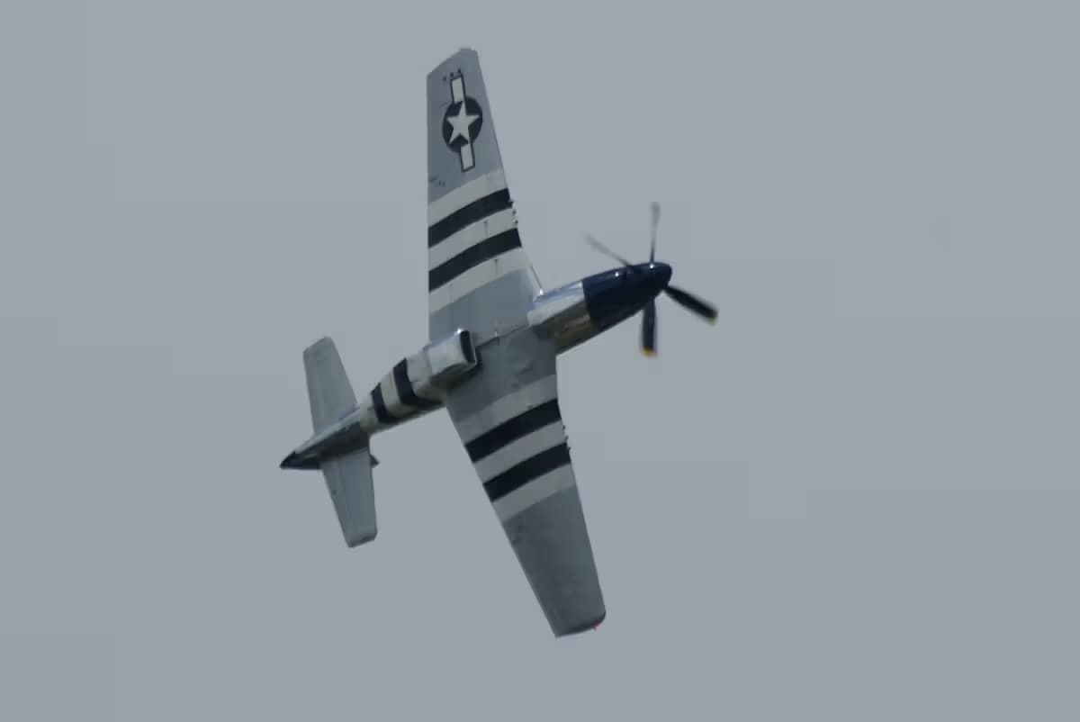 Unidentified — Warbird