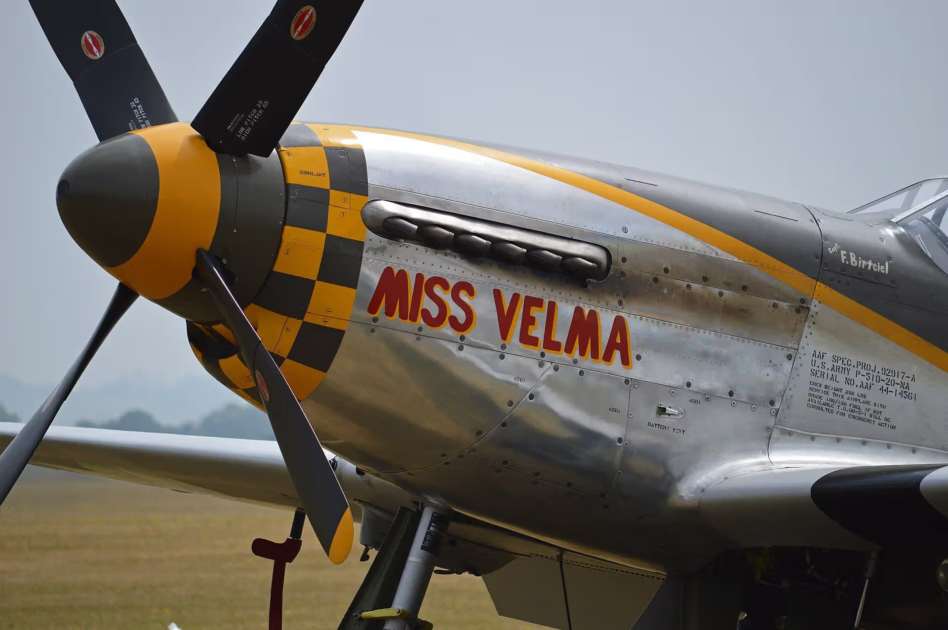 N251RJ — Warbird