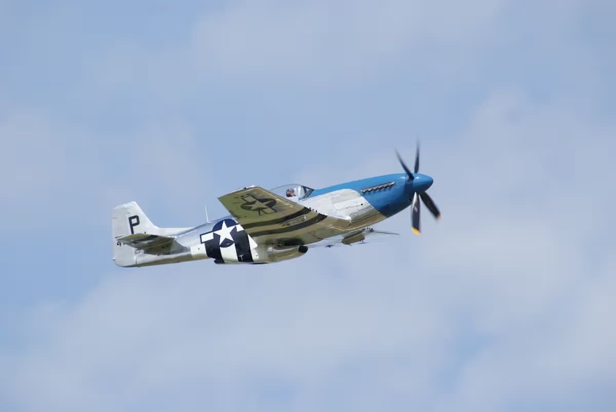 Unidentified — Warbird