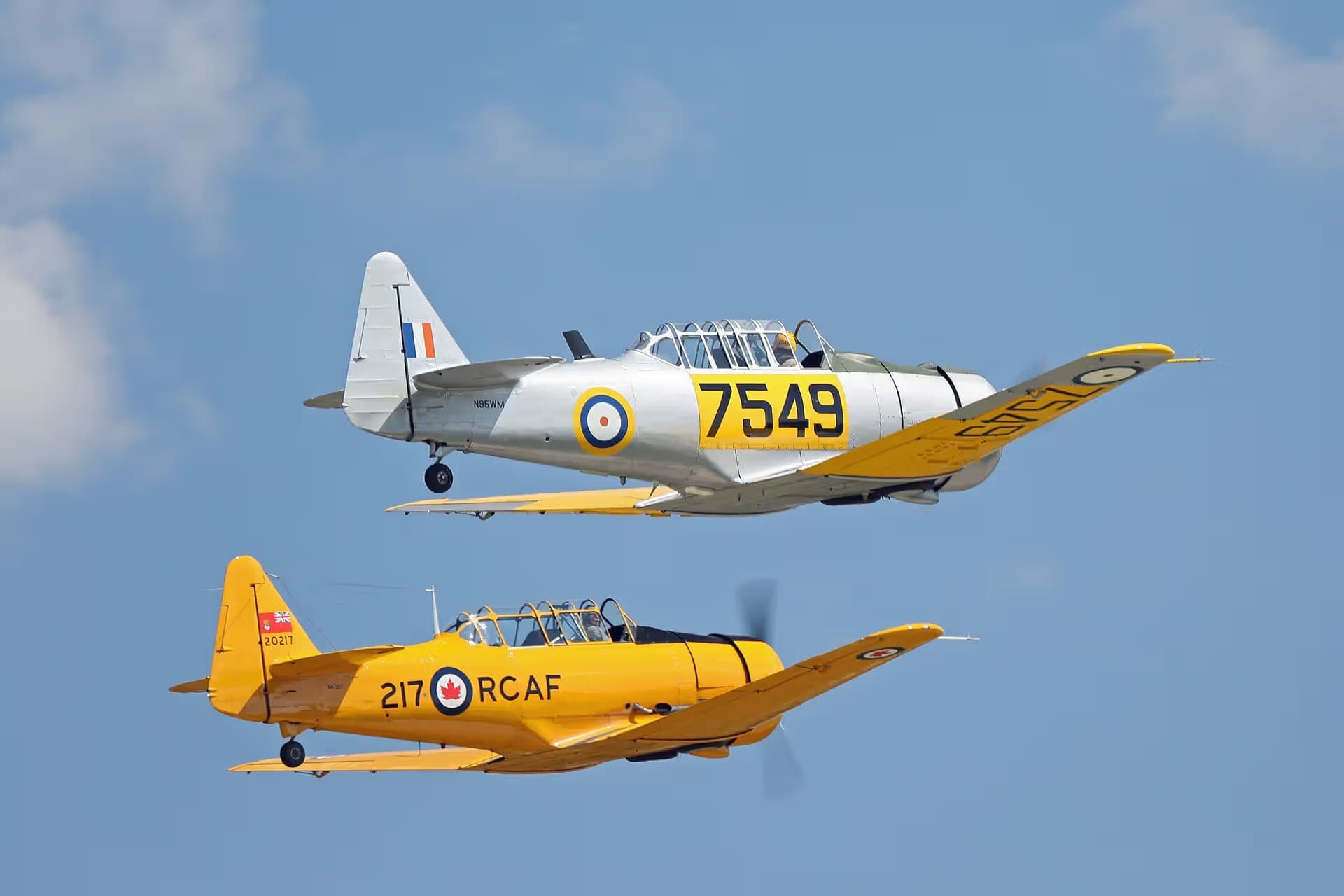 N47217 — Single-engine aircraft