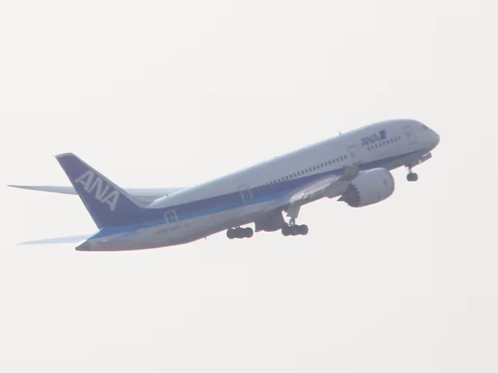 N787EX — Twin-engine aircraft