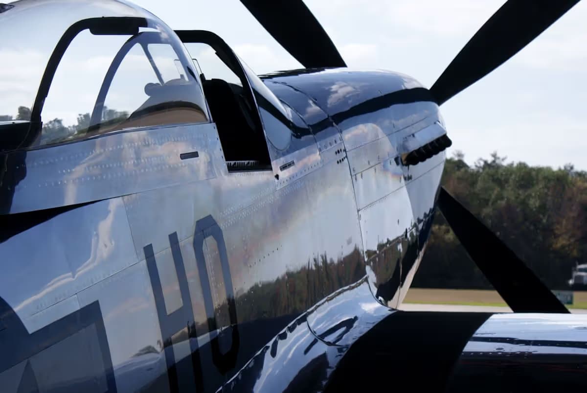 Unidentified — Warbird
