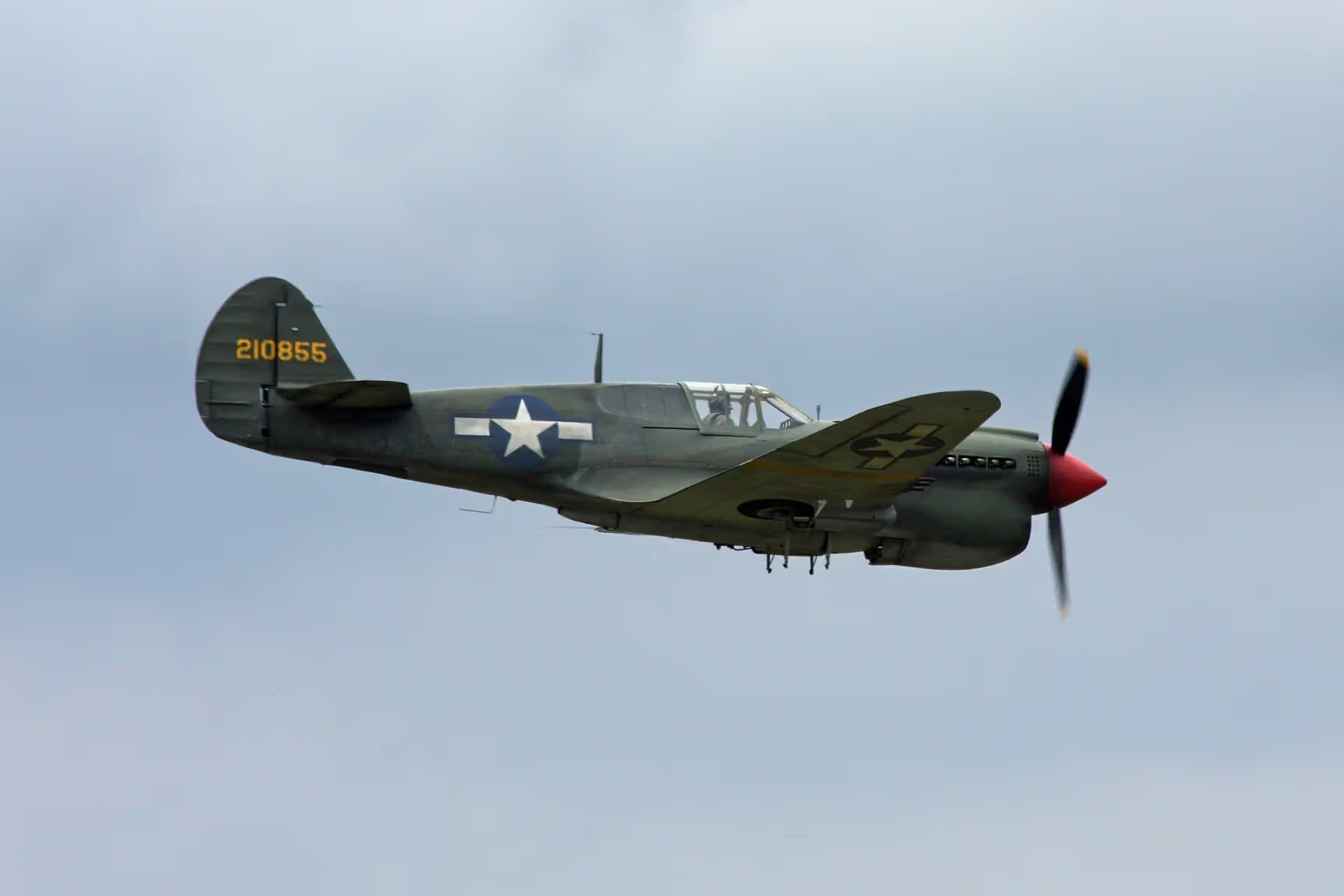 Unidentified — Warbird