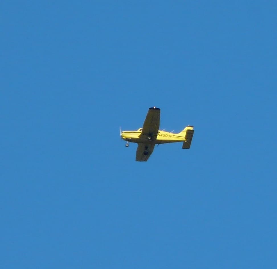 N4593F — Single-engine aircraft