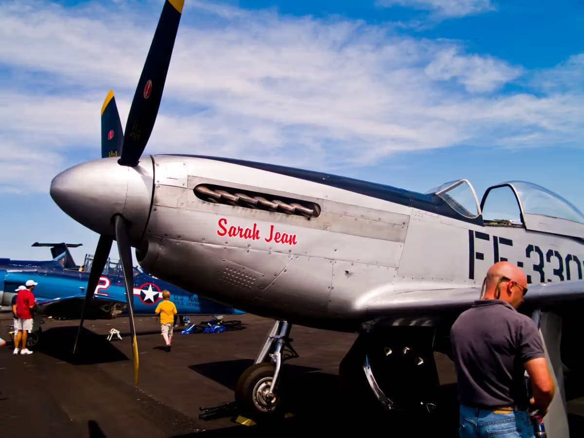Unidentified — Warbird