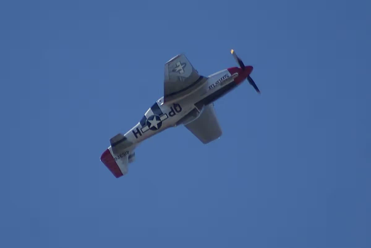 Unidentified — Warbird
