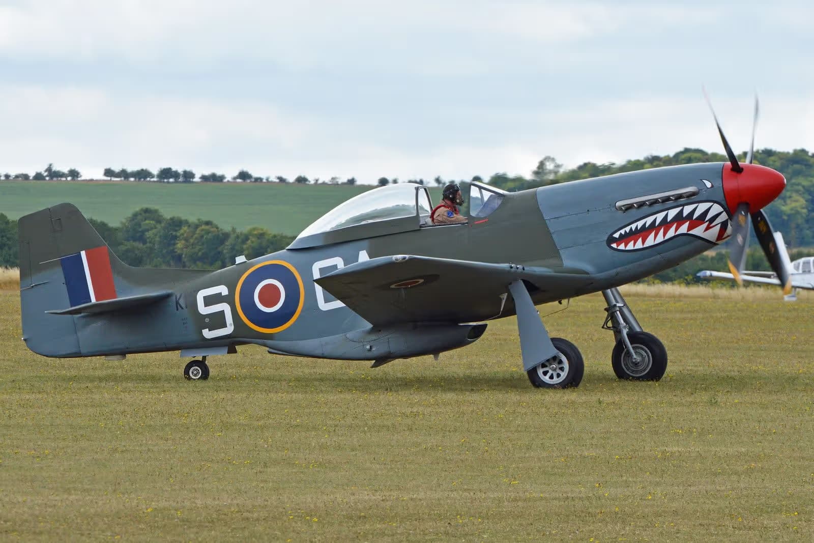 G-SHWN — Warbird