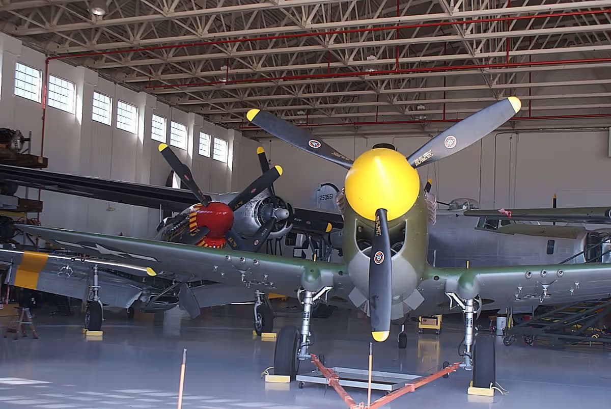 Unidentified — Warbird